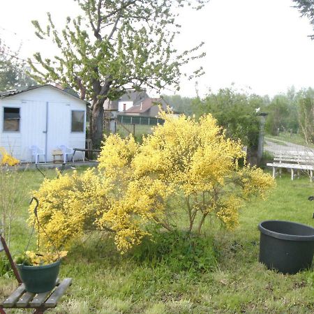 Ferme Lenfant Affittacamere Ville-Pommeroeul Esterno foto