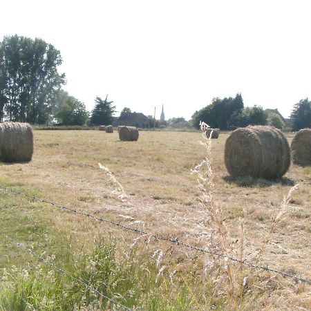 Ferme Lenfant Affittacamere Ville-Pommeroeul Esterno foto