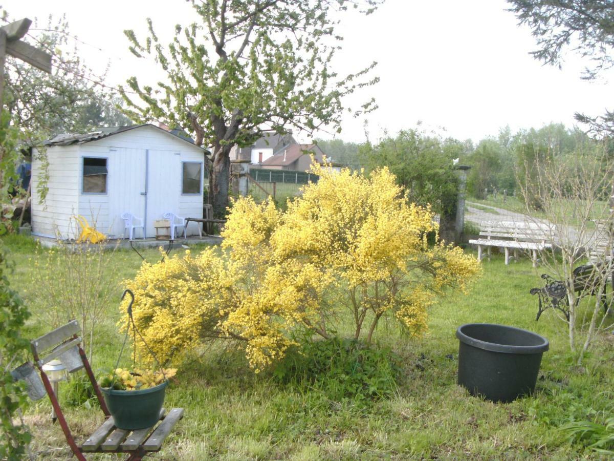 Ferme Lenfant Affittacamere Ville-Pommeroeul Esterno foto