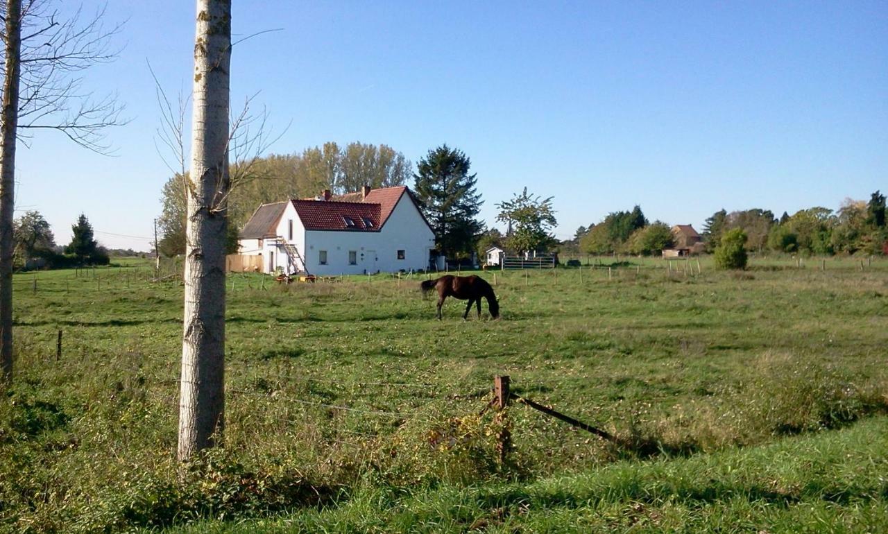 Ferme Lenfant Affittacamere Ville-Pommeroeul Esterno foto