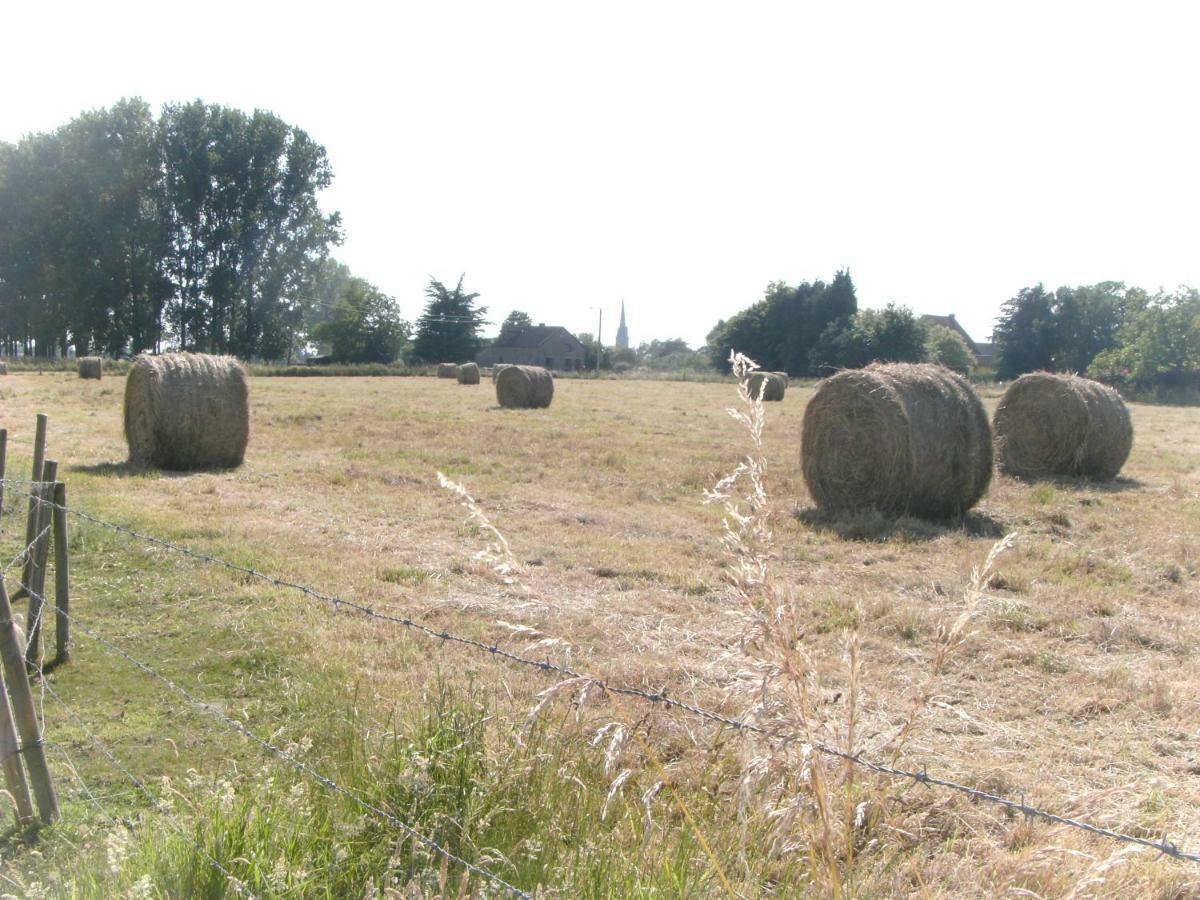 Ferme Lenfant Affittacamere Ville-Pommeroeul Esterno foto